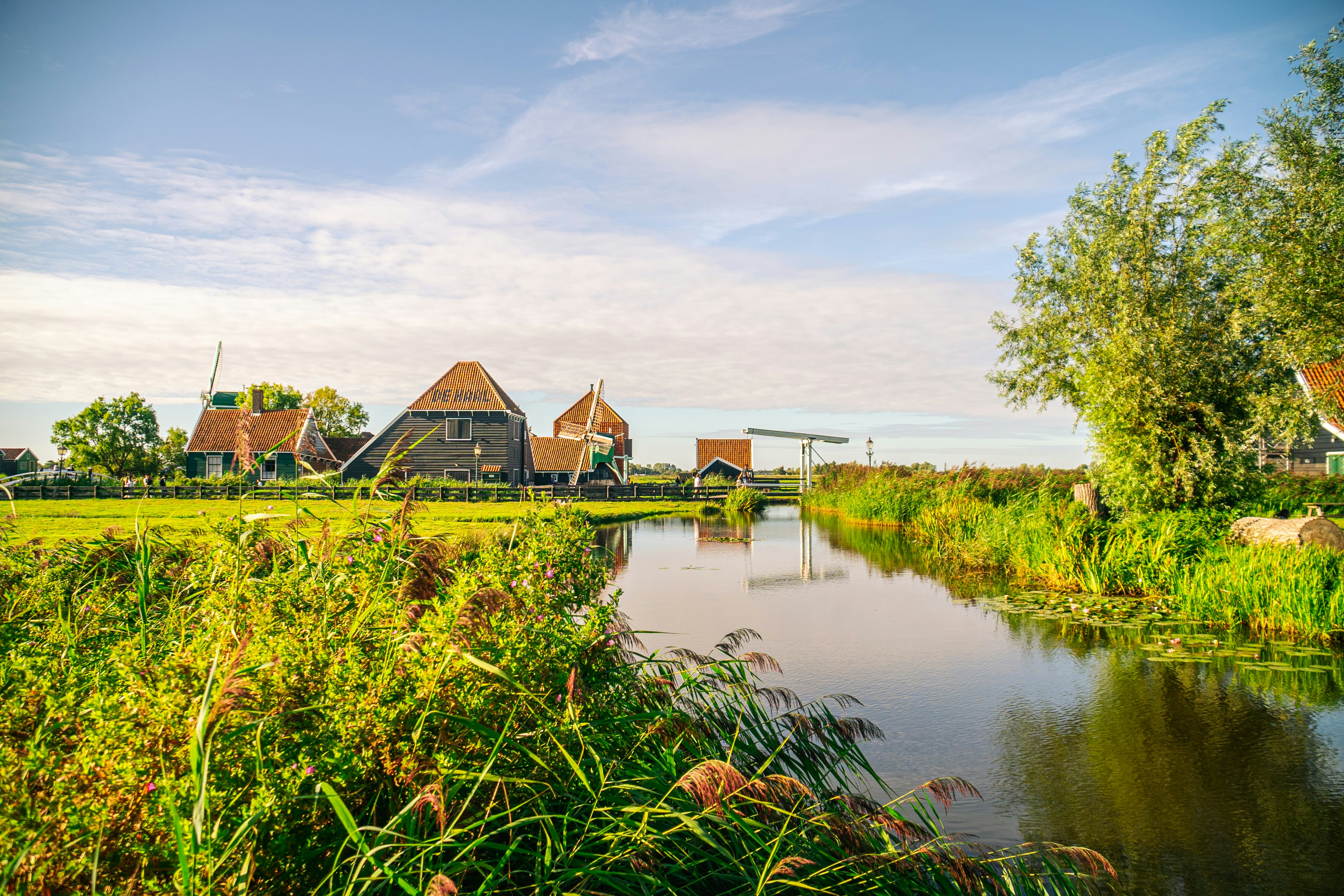 Agrarisch landschap